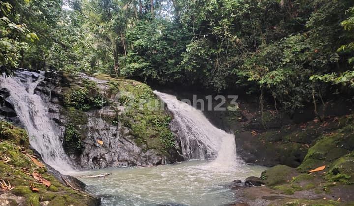 Tanah View Air Terjun di Selemadeg Tabanan Bali