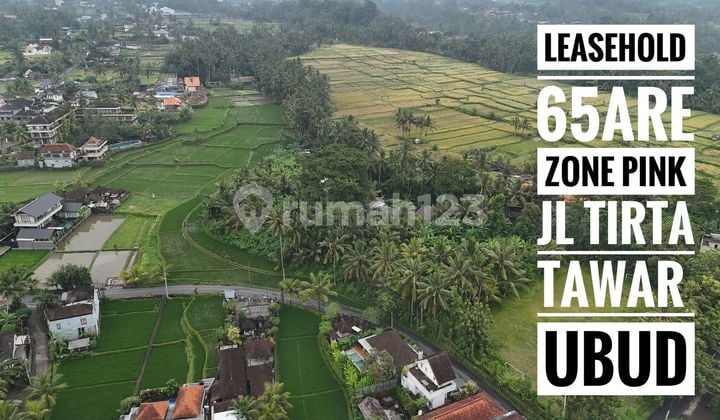 Land on Main Road Tirta Tawar Ubud View Valley & Rice Fields Tourism Zone