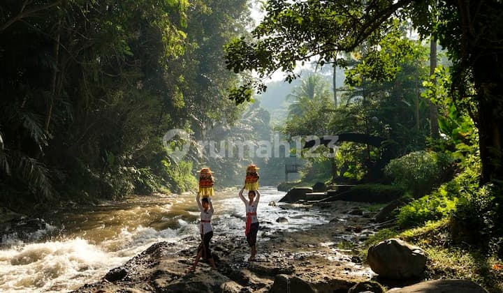 Tanah Los Sungai Di Sayan Ubud Gianyar Area Hotel Bintang 5
