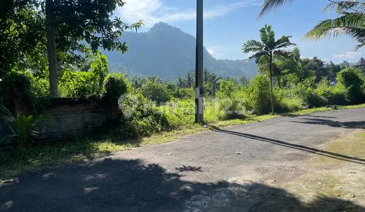 Tanah di Kawasan Hotel Tebola Sidemen Karangasem Zona Pariwisata