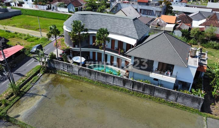 Guest House View Sawah di Bumbak Umalas Kerobokan