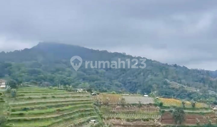 Tanah Dekat Kebun Raya Bedugul Akses Jalan Provinsi View Menawan