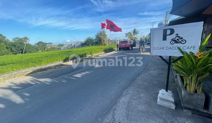Tanah Los Sungai di Pantai Nyanyi Tabanan Dekat Canggu Zona Wisata