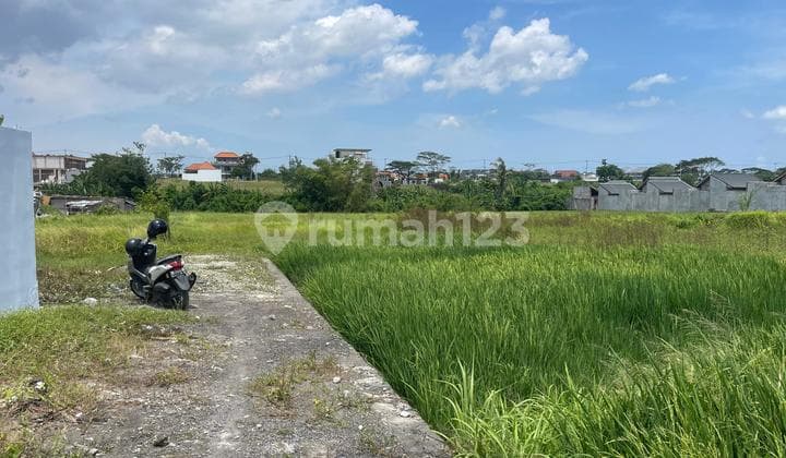 Tanah Kavling Pantai Seseh Munggu Zona Pariwisata