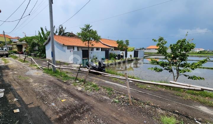 Land View Rice Field Cemagi Beach Badung 400 Meters to the Beach