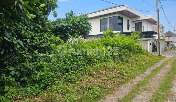 Tanah Plot Kecil Jl Mertanadi Seminyak Dekat Nuris & Gelato