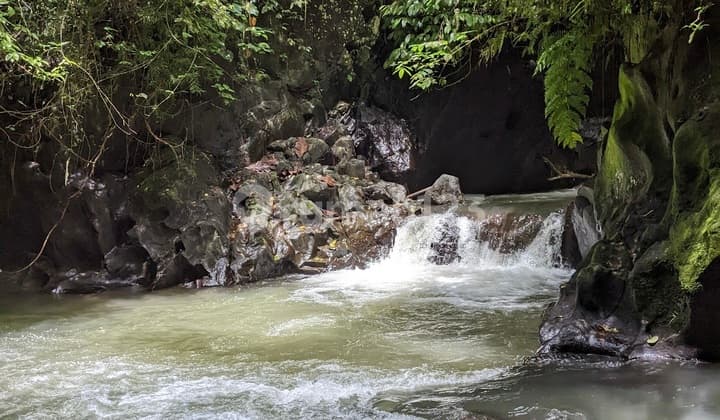 Tanah Los Sungai & View Jungle di Ubud Kawasan Resort & Villa Mewah