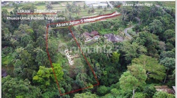 Land Los Sungai Sebelah The Royal Kendran Villas In Ubud Gianyar Bali