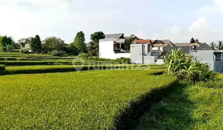 Tanah Los Sungai View Lembah & Sawah Dekat Hotel Gracia Lodtunduh Ubud