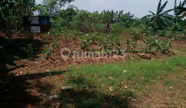 Tanah Murah Di Pondok Jagung Serpong Utara Dekat Alam Sutera/villa Melati Dan Akses Toll Alam Sutera