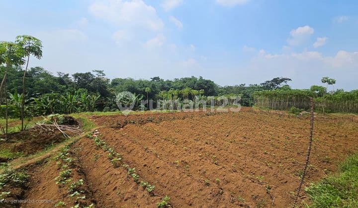 Kavling di Pinggir Jalan Dekat dengan Universitas Pertanian Bogor