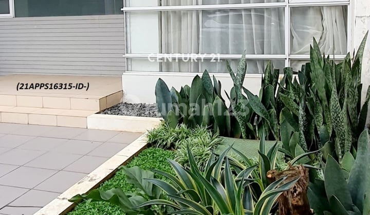 Rumah Siap Huni Discovery Aluvia Bintaro Jaya