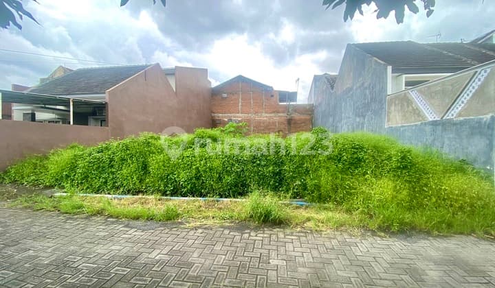 Tanah Kavling Strategis Area Sudimoro Sukarno Hatta