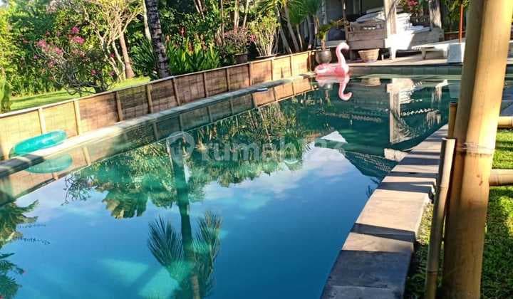 Tanah Dan Rumah 2.800 M2 Shm Di Bumbak Umalas Bali