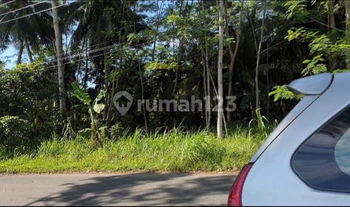 Dijual Sebidang Tanah Kebun Di Pangandaran Jawa Barat Lt 26ha Riy