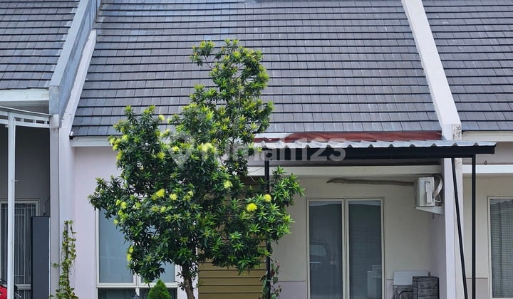 Dijual Cepat! Rumah Cantik Bianca Suvarna Sutera - Siap Huni, Harga Terbaik!