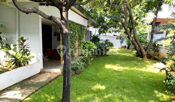 Rumah Komersial Cempaka Putih Tengah 24X39