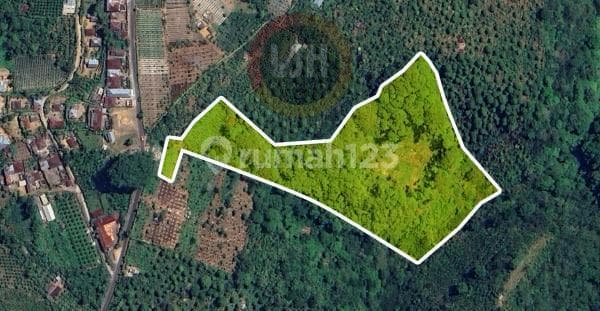 1,76 Hectares Land in Farm Area Kubutambahan, Buleleng, Near to Kintamani and Mount Batur