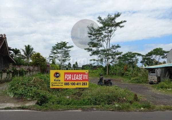 Tanah Sewa di Ubud Dekat Monkey Forest dan Ubud Palace, Cocok untuk Villa atau Tempat Usaha