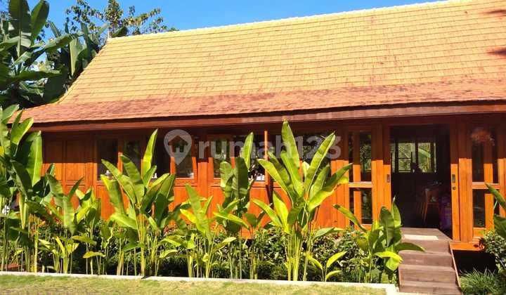 Cozy Villa For Retreat In Quiet Area Payangan Gianyar Close to Ubud