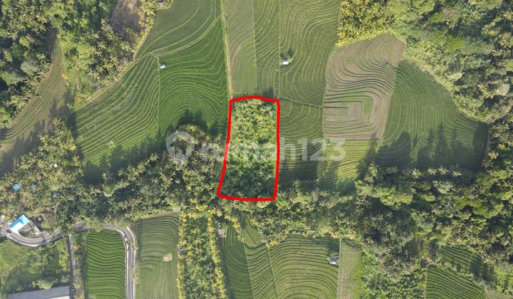 Land For Sale At Berembeng, Tabanan With Ricefield View, Only 2 KM To Kelecung Beach