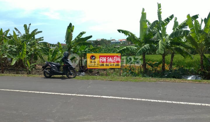 Land For Sale In Pererenan, Canggu, Close To Echo Beach