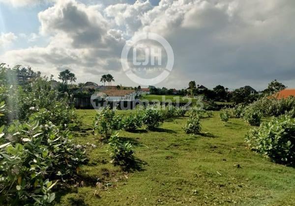 Premium Land in Umalas Kerobokan with Beautiful Environment close to Berawa Beach