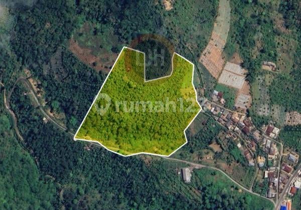 248,5 Are Land in Farm Area Kubutambahan, Buleleng, Near to Kintamani and Mount Batur