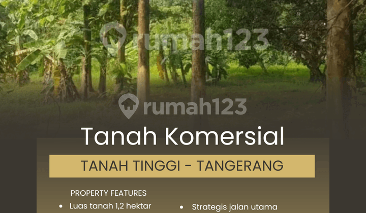 Tanah Komersial 12000 Meter, Tanah Tinggi - Tangerang