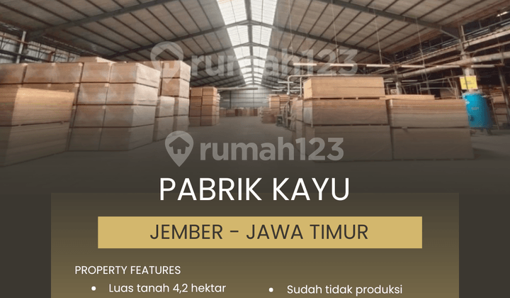 Pabrik Pengolahan Kayu 4,2 Miliar, Jember - Jawa Timur