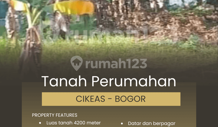 Tanah 4200 Meter Lebar 48 Meter di Cikeas - Bogor