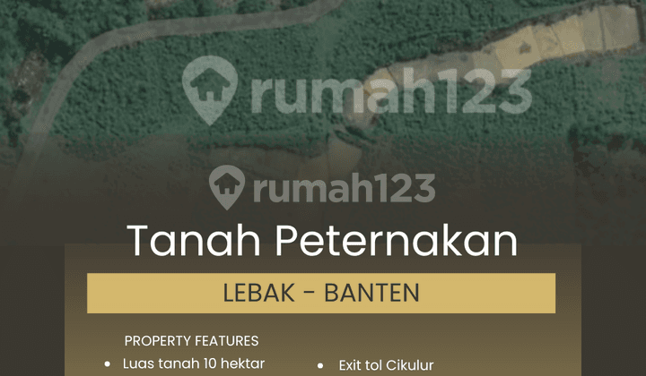 FOR SALE FARM LAND IN LEBAK BANTEN