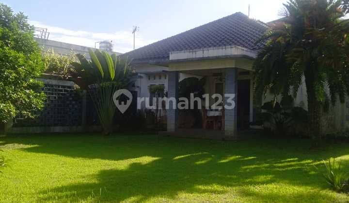 Miliki Rumah Mewah dengan Halaman Luas