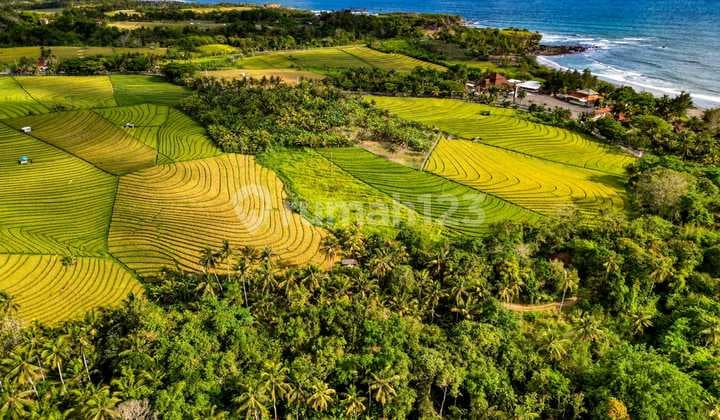 Dijual Tanah 37 Are Dekat Pantai Soka Tabanan Dd
