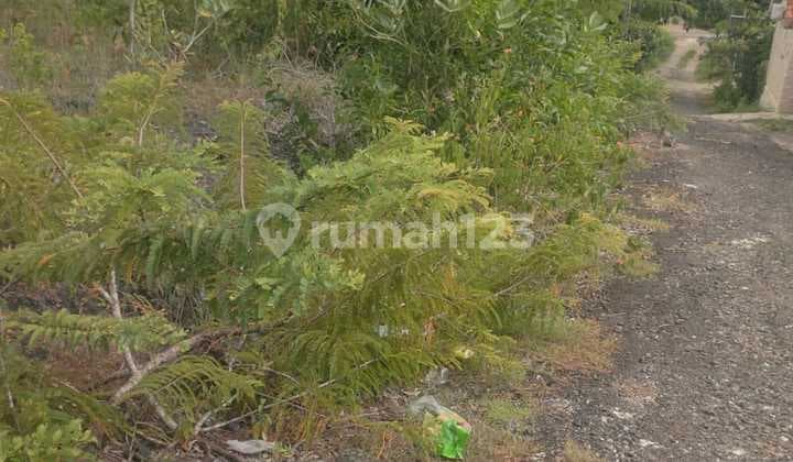 Dijual Tanah 2 Are Cocok Untuk Villa Di Goa Gong Wn