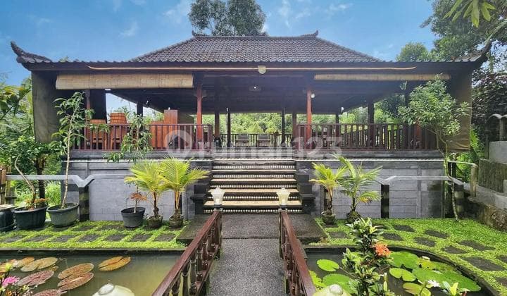 Dijual Villa 3 Kamar Halaman Luas Di Marga Tabanan It