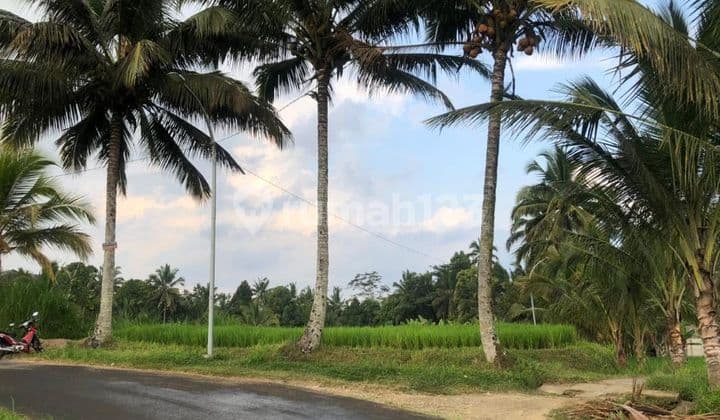 Dijual Tanah 4000.0 M² Shm Di Petang It