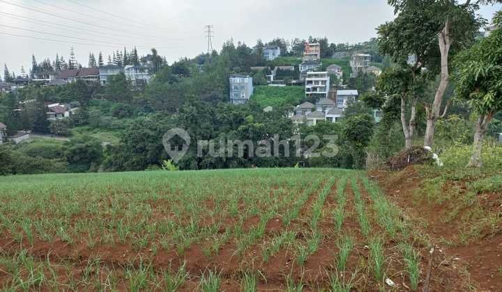 Dijual Cepat Tanah Luas Samping Dago Pakar Resort Harga Ok Banget!!!Cocok Jadi Komplek Villa Keluarga