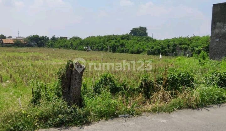 Dijual Tanah Sawah Di Masjid Jamie' Nurul Amal, Jl. Raya Peruri Rt.03/rw.02, Sirnabaya, Telukjambe Timur, Karawang, Jawa Barat, Indonesia, 41361, Karawang Barat Shm 6000.0
