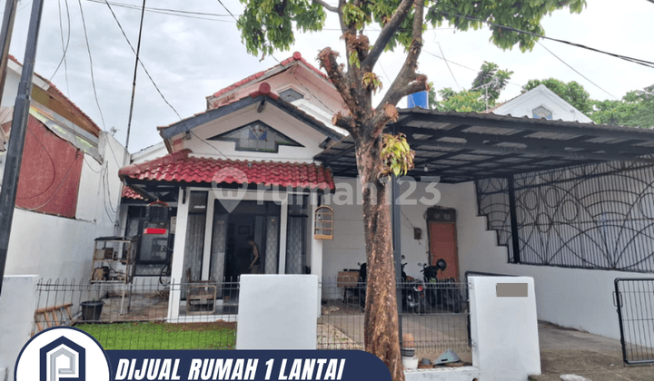Dijual Rumah Siap Huni Di Anggrek Loka BSD City