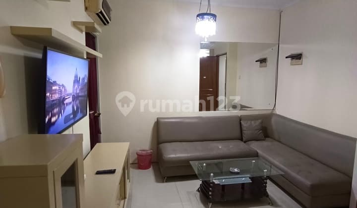 Apartemen Mediterania Gajah Mada Tipe 3 Br 2 Kamar Mandi Full Furniahed Baru Renov Free Wifi Dan Free Ipl