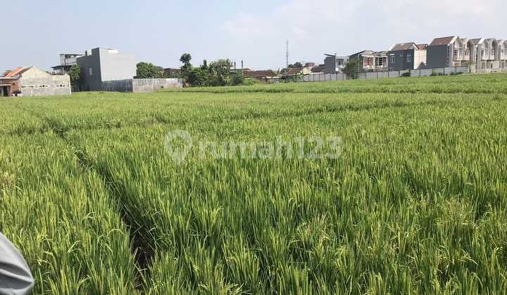 Tanah Sawah Produktif,lokasi Belakang Itn 2, Dijual Cepat di Tasik Madu Kota Malang