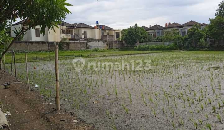 Tanah Sawah Aktif 1,6 Ha SHM Area Margacinta Ciwastra Buah Batu