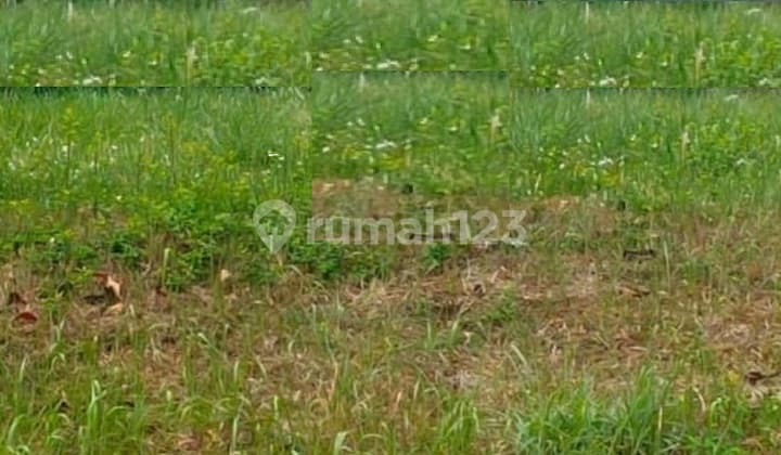 Dijual Tanah 12 Ha Di Serang Banten