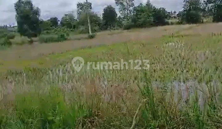 Dijual Tanah di Banjarmasin Pinggir Jalan Raya
