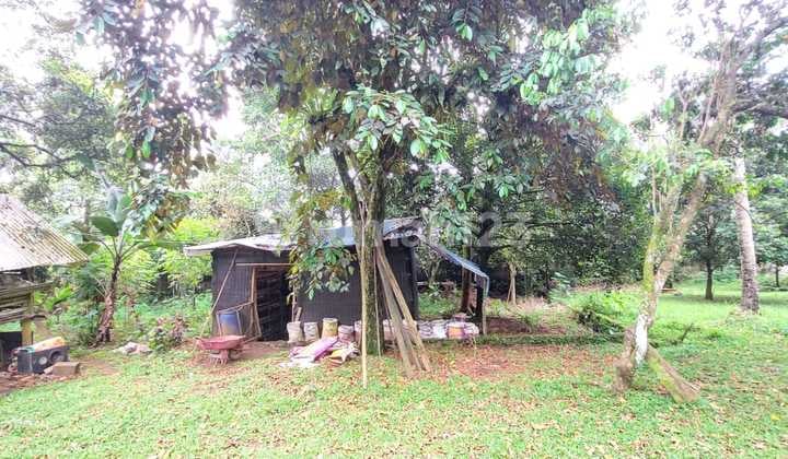 Lahan Luas di Tamansari Ciapus Bogor Udara Sejuk Akses Bagus