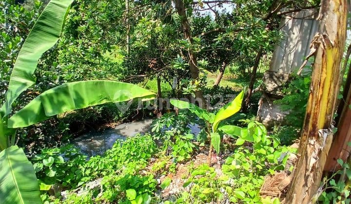 Rumah Tanah Murah Di Citereup