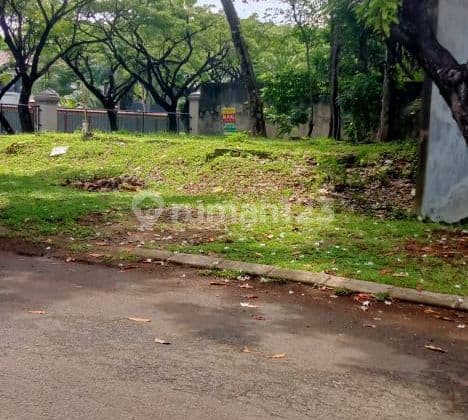 Kavling Siap Bangun Sutera Buana Alam Sutera