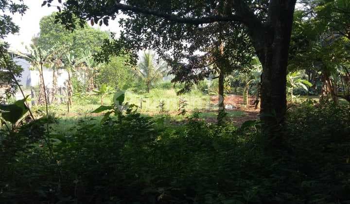 Dijual Sebidang Tanah di Daerah Kelapa Nunggal Cileungsi