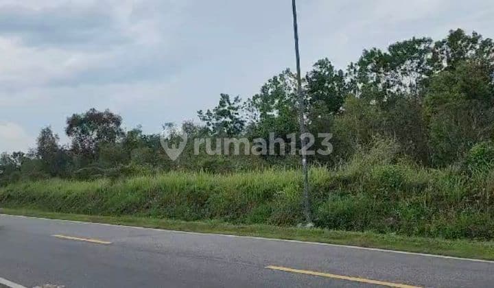 Dijual Tanah 5280 Meter di Kurau Koba, Bangka Tengah